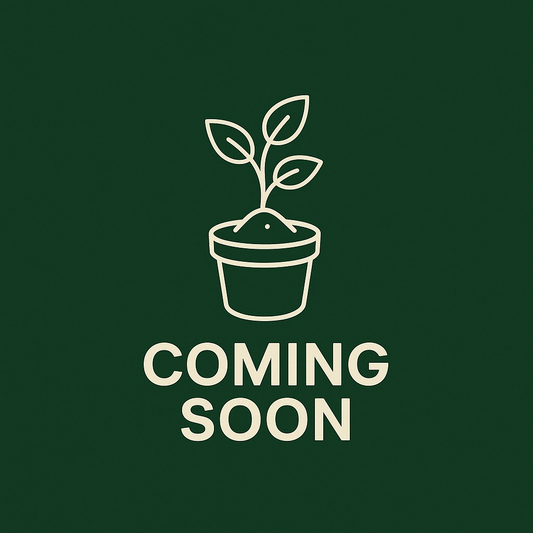 Smart Grow System